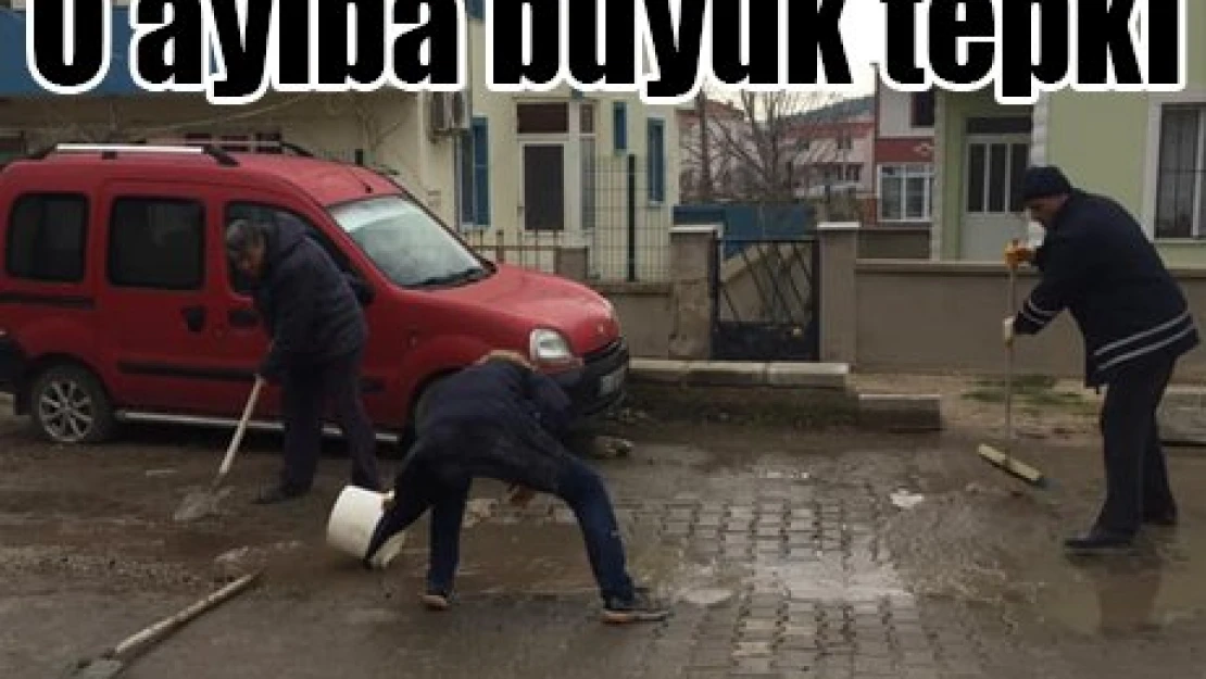 O ayıba büyük tepki