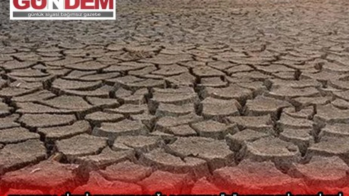 Trakya'da çiftçilere 'kuraklığa dayanıklı ürün ekmeleri' tavsiyesi