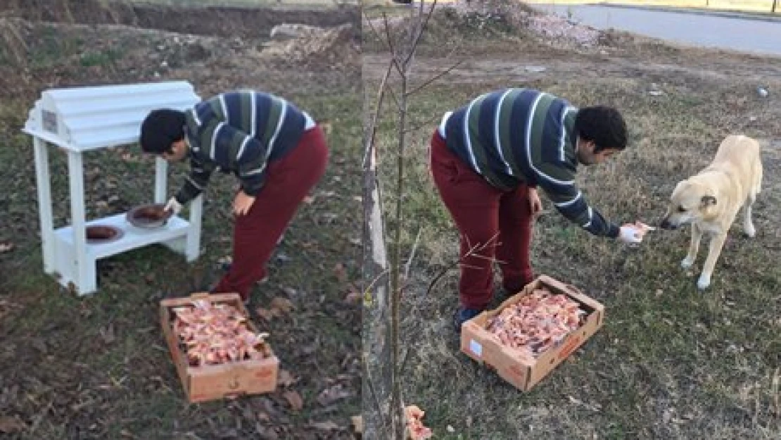 En anlamlı yılbaşı hediyesi