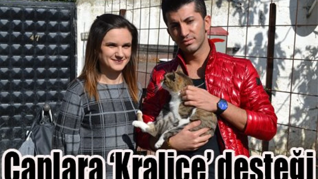 Canlara '˜Kraliçe' desteği