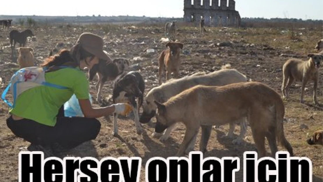 Her şey onlar için