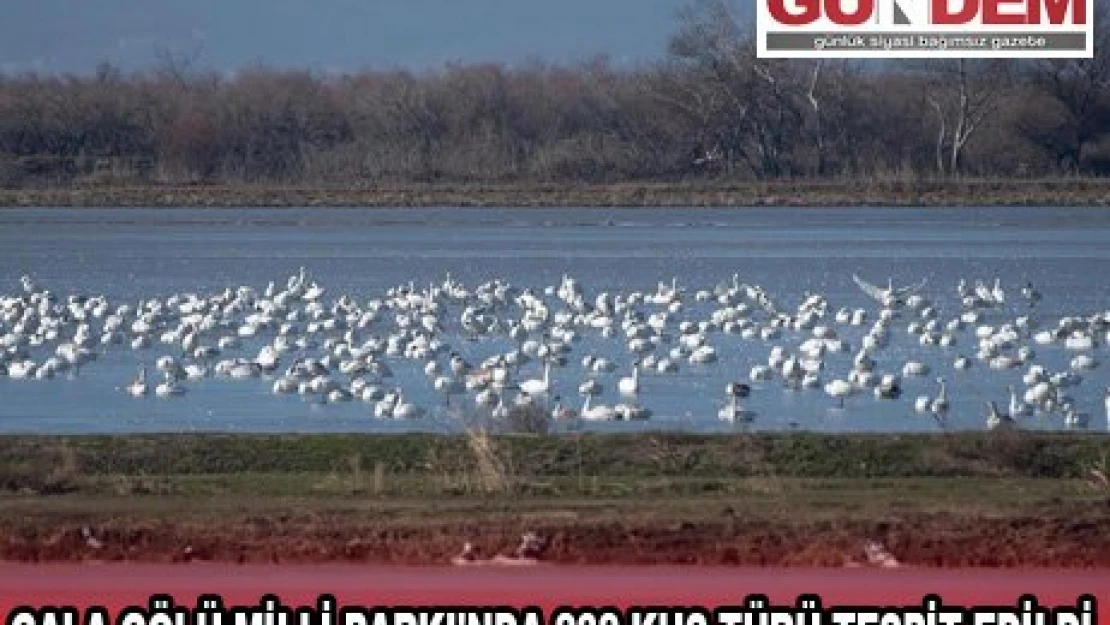 GALA GÖLÜ MİLLİ PARKI'NDA 232 KUŞ TÜRÜ TESPİT EDİLDİ