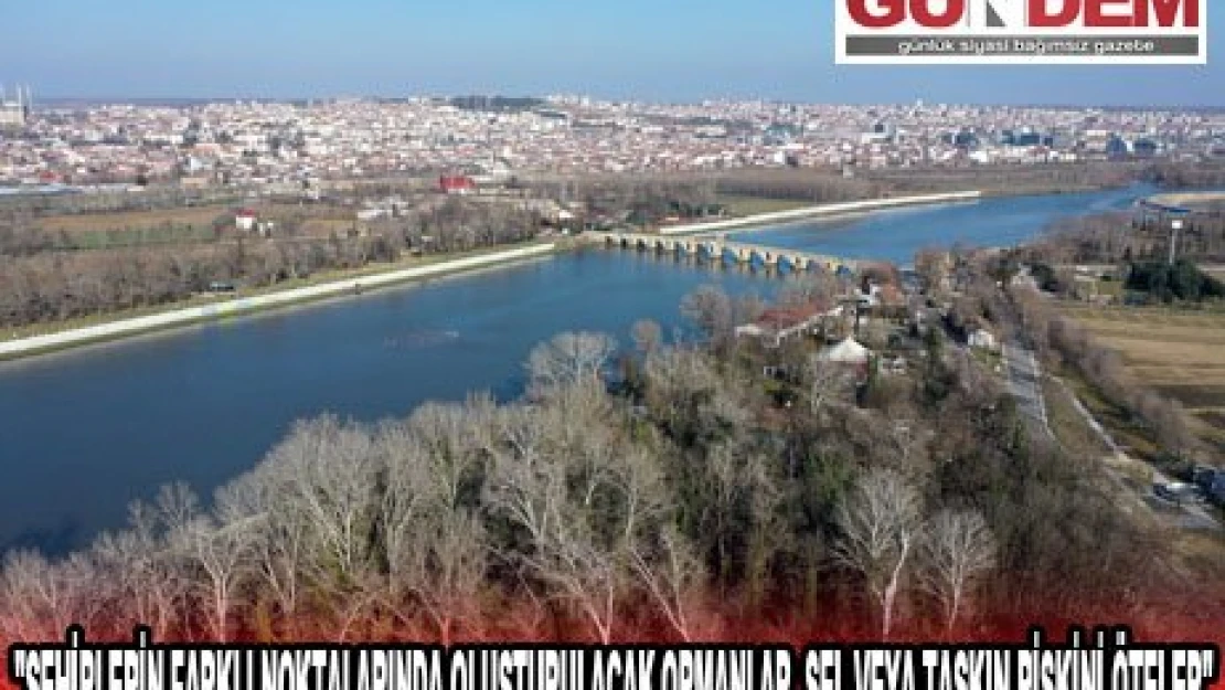  'ŞEHİRLERİN FARKLI NOKTALARINDA OLUŞTURULACAK ORMANLAR, SEL VEYA TAŞKIN RİSKİNİ ÖTELER'