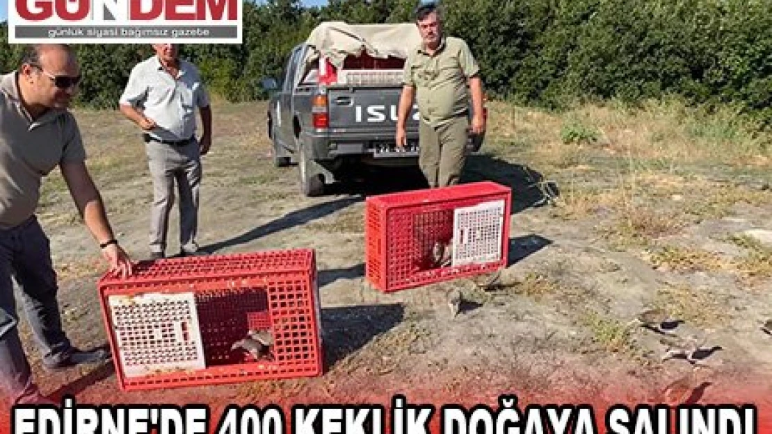 Edirne'de 400 keklik doğaya salındı