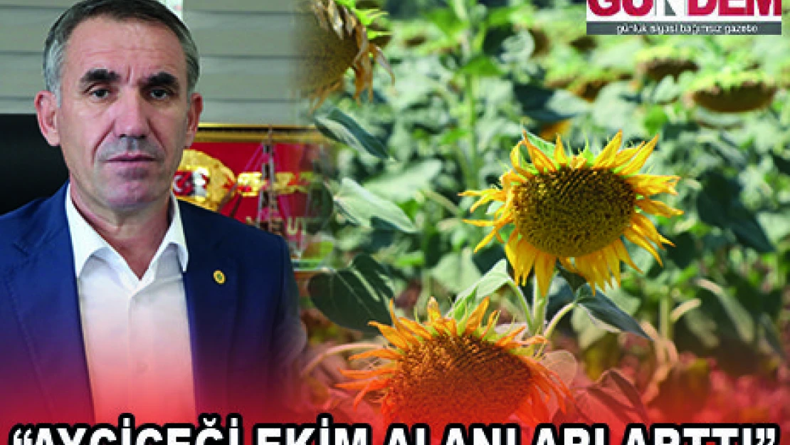 'AYÇİÇEĞİ EKİM ALANLARI ARTTI'