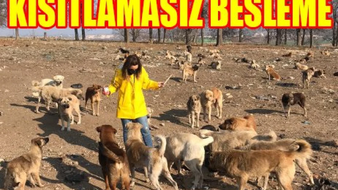 KISITLAMASIZ BESLEME