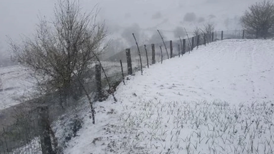 Edirne'de yağmur, Kırklareli'nde kar