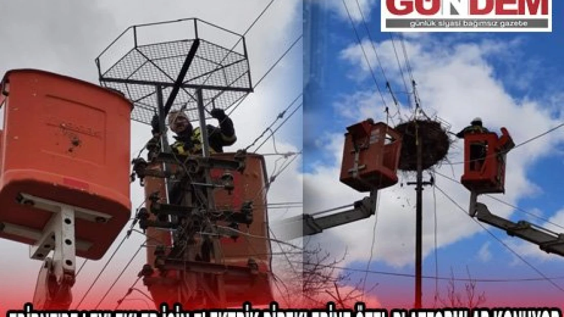 EDİRNE'DE LEYLEKLER İÇİN ELEKTRİK DİREKLERİNE ÖZEL PLATFORMLAR KONUYOR