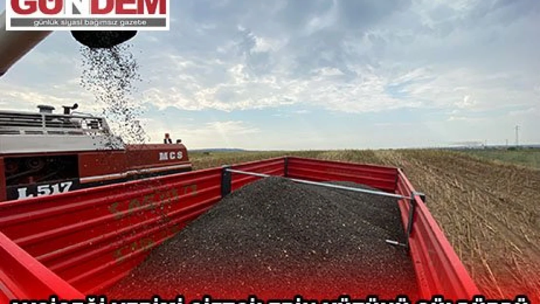 Ayçiçeği verimi çiftçilerin yüzünü güldürdü