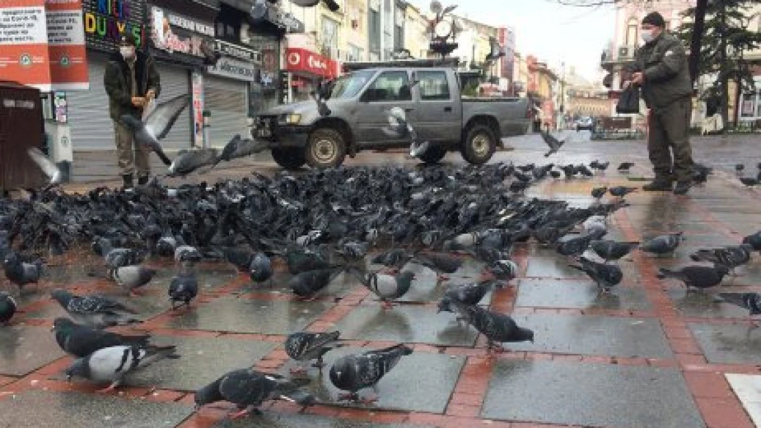 Sokak hayvanlarını unutmadılar