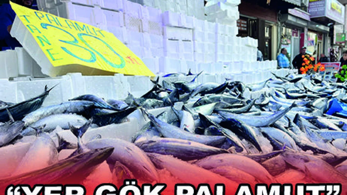 'YER GÖK PALAMUT'