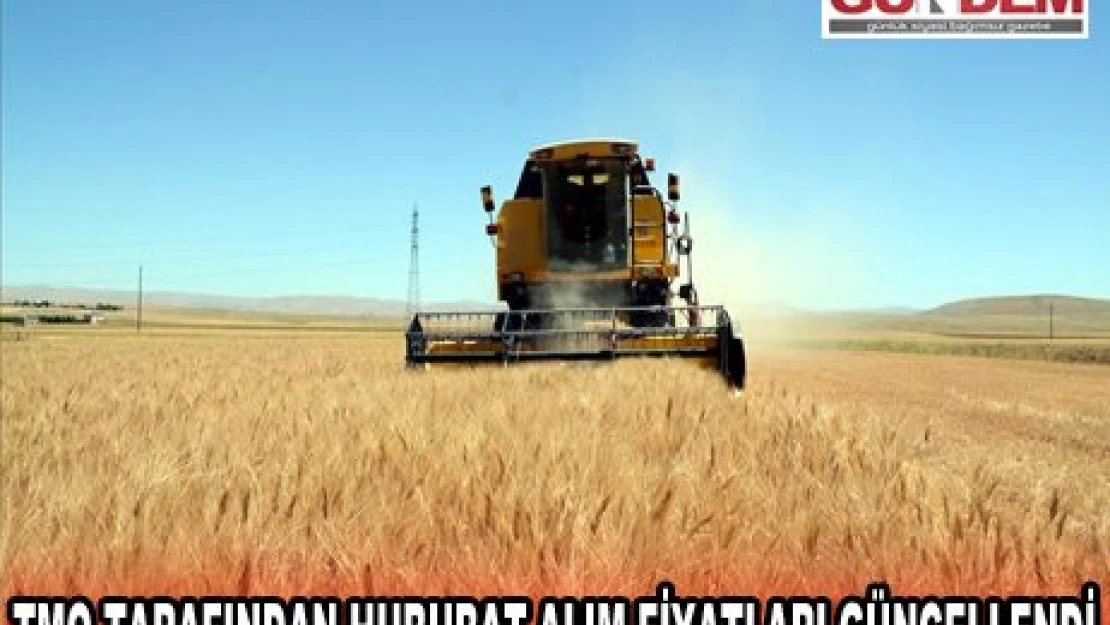 TMO TARAFINDAN HUBUBAT ALIM FİYATLARI GÜNCELLENDİ 