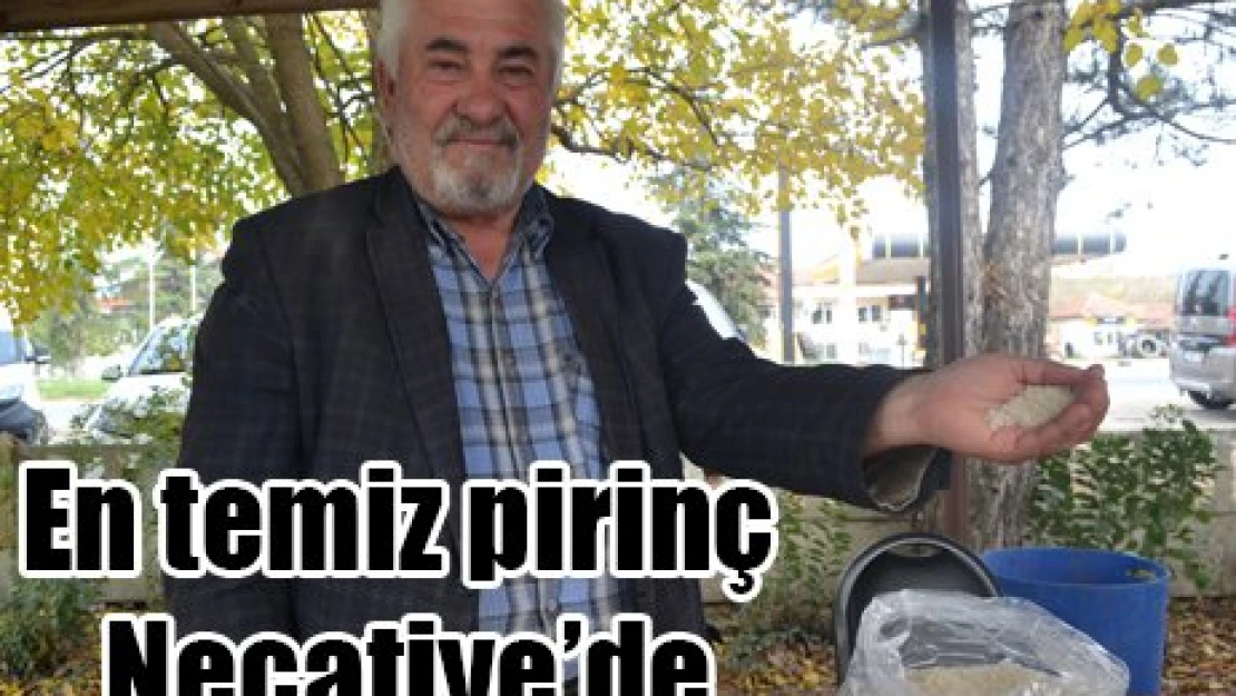 En temiz pirinç Necatiye'de