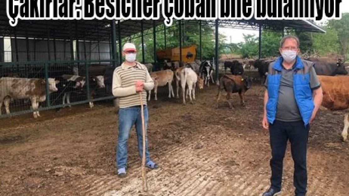 Çakırlar: Besiciler çoban bile bulamıyor