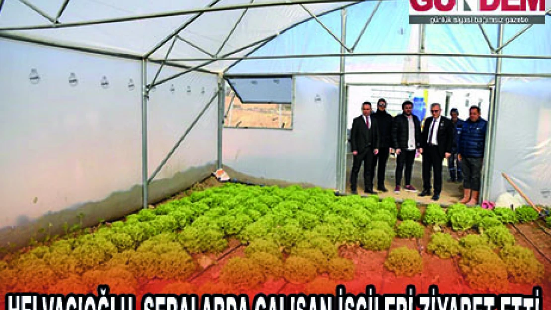 HELVACIOĞLU SERALARDA ÇALIŞAN İŞÇİLERİ ZİYARET ETTİ