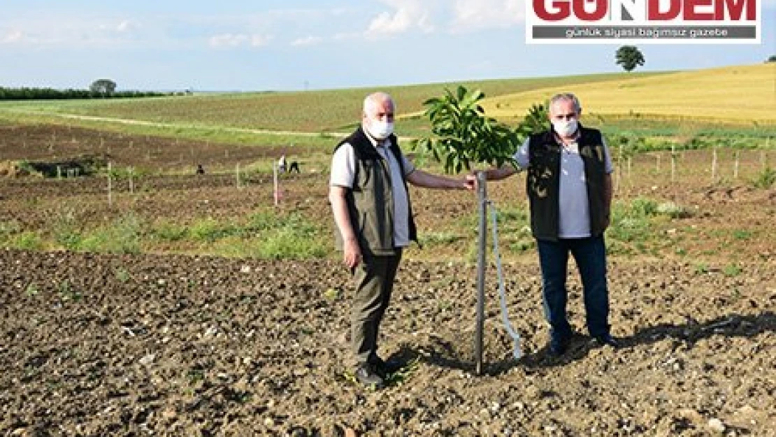 Ormancılık faaliyetleri hakkında bilgi alışverişinde bulunuldu