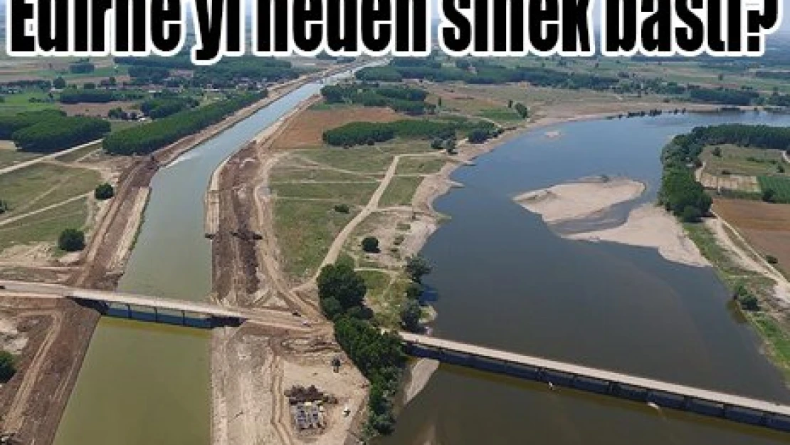 Edirne'yi neden sinek bastı?