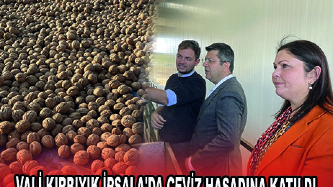 VALİ KIRBIYIK İPSALA'DA CEVİZ HASADINA KATILDI