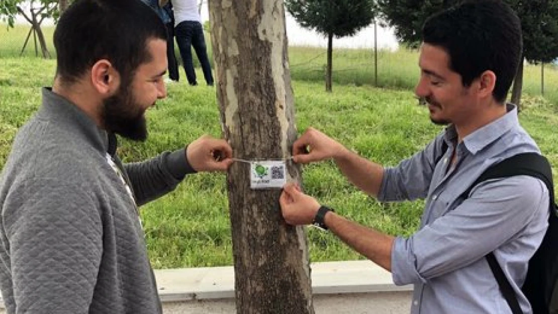 Eğitim'deki ağaçlara Yeşil Kod