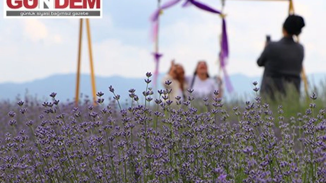 'Tekirdağ Lavanta Günleri' başladı.