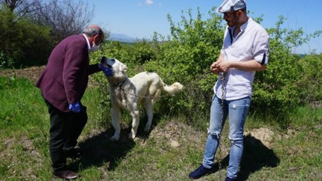Kutup, 10 ay sonra aramızda