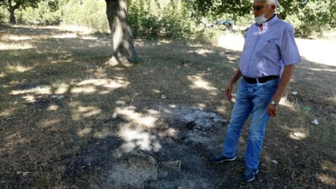 Çevreciler mangal istemiyor
