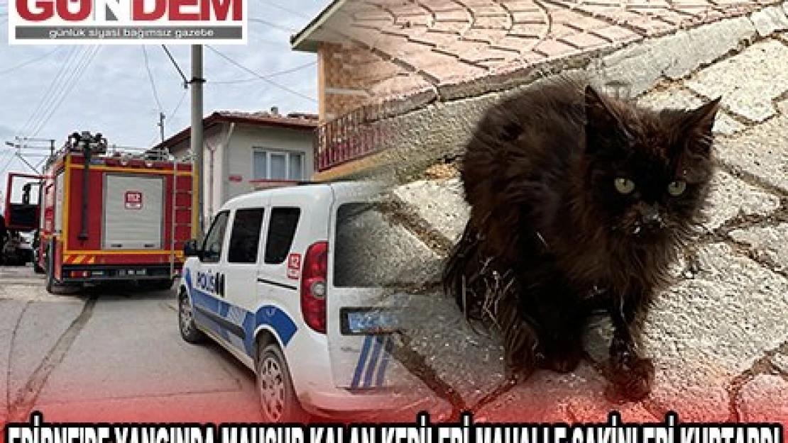 EDİRNE'DE YANGINDA MAHSUR KALAN KEDİLERİ MAHALLE SAKİNLERİ KURTARDI