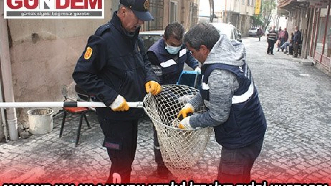 Edirne'de mahsur kalan 3 yavru kediyi itfaiye ekibi kurtardı