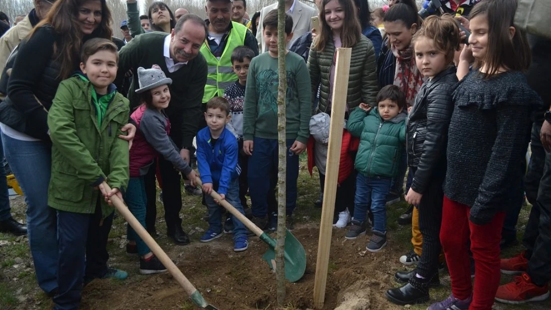 Karaağaç eski günlerine dönecek