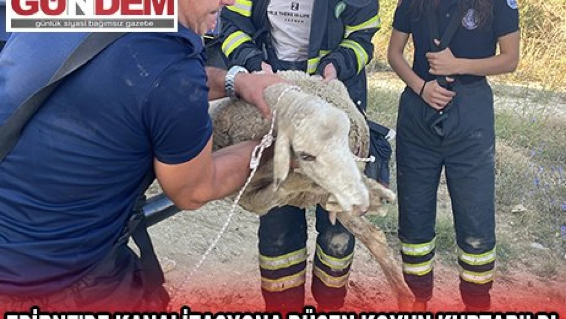 Egemenliğin 100'üncü yılını kutladı
