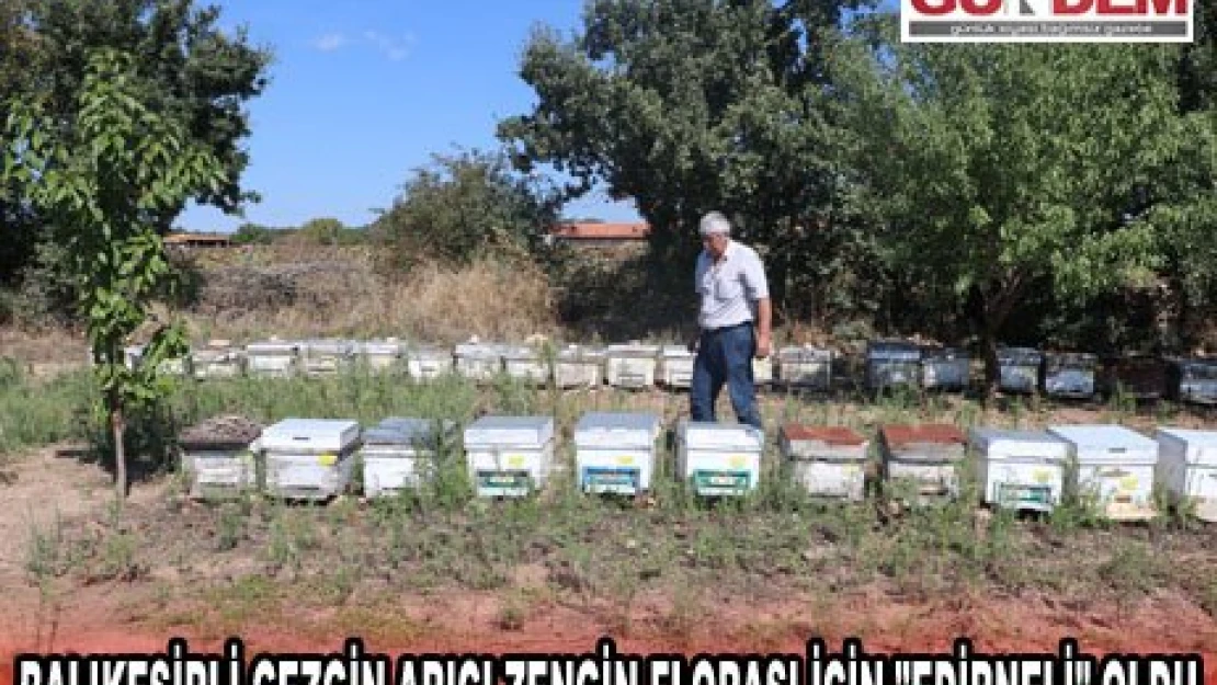 Balıkesirli gezgin arıcı zengin florası için 'Edirneli' oldu