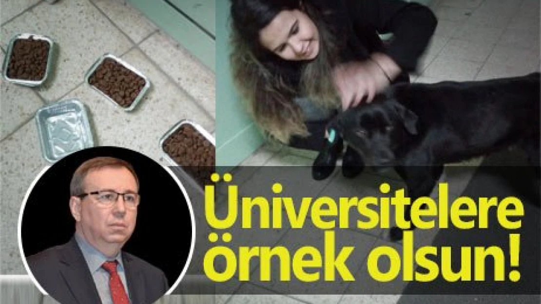 Üniversitelere örnek olsun