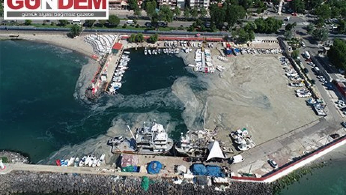 Tekirdağ'da lodos nedeniyle kıyılara müsilaj geri geldi