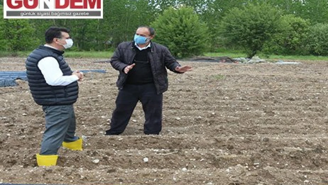 Kırklareli Tarım ve Orman Müdürü Aksoy, çilek üreticilerini ziyaret etti