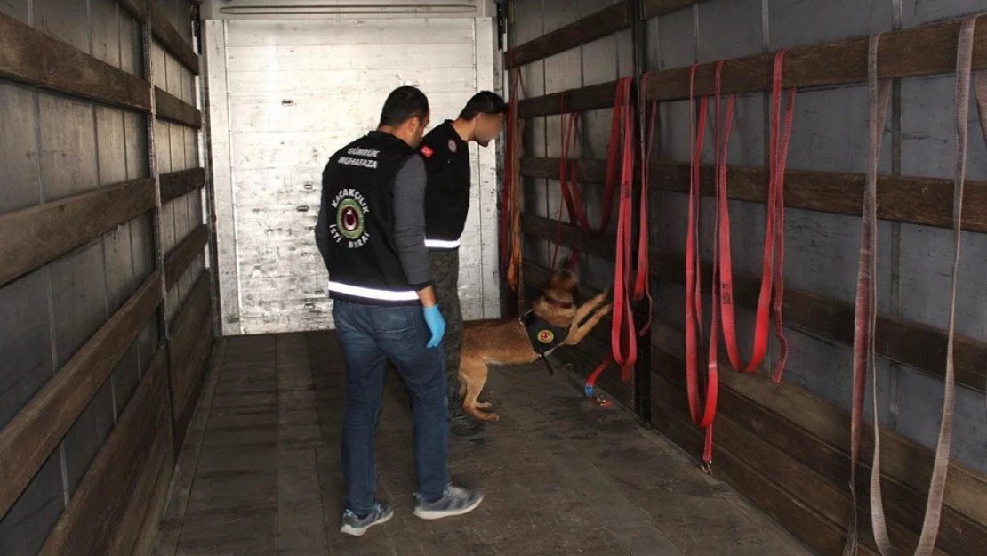 Zuladaki esrara 30 yıl istemi