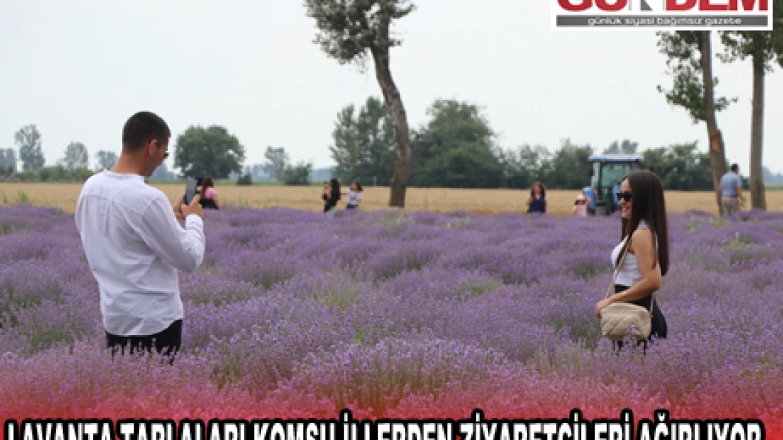 Lavanta tarlaları komşu illerden ziyaretçileri ağırlıyor