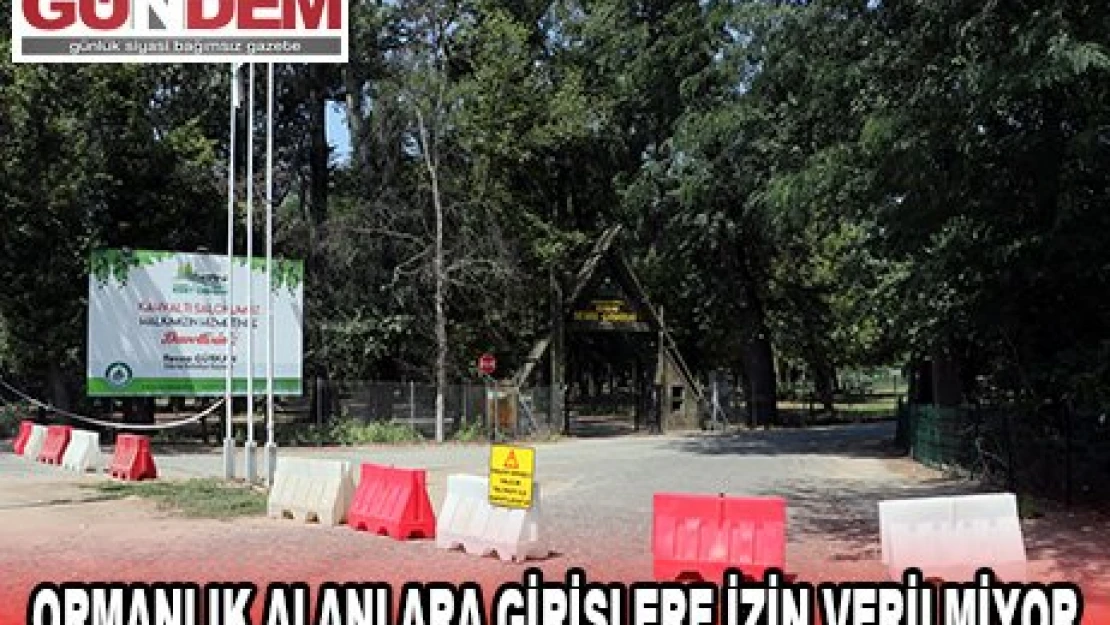 Ormanlık alanlara girişlere izin verilmiyor