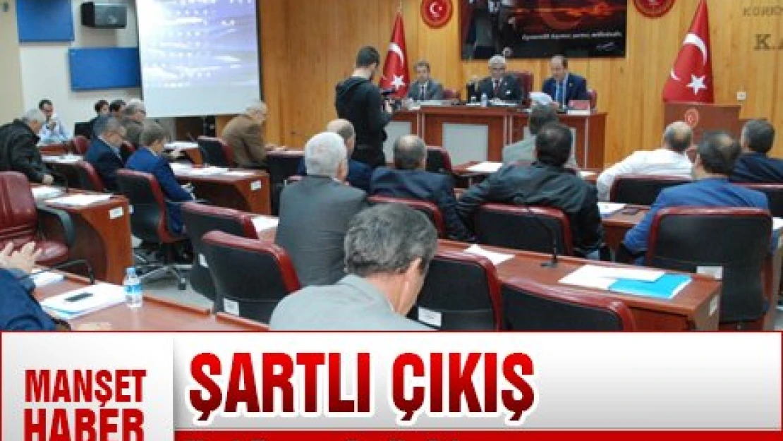 Yurt Dışına Şartlı Çıkış