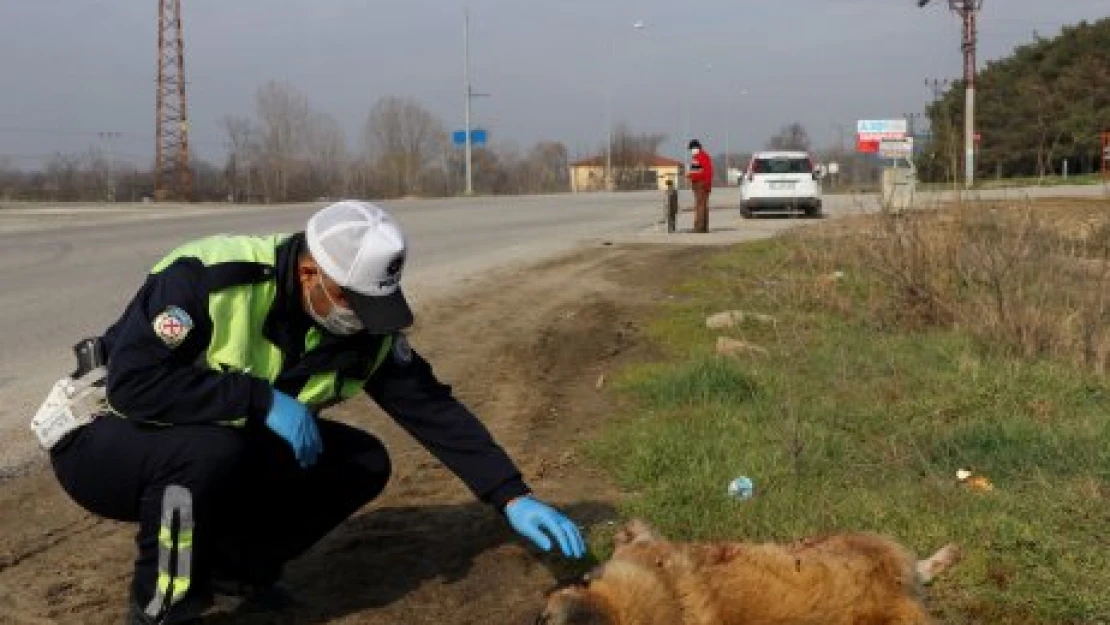 Yaralı köpeği polis sakinleştirdi