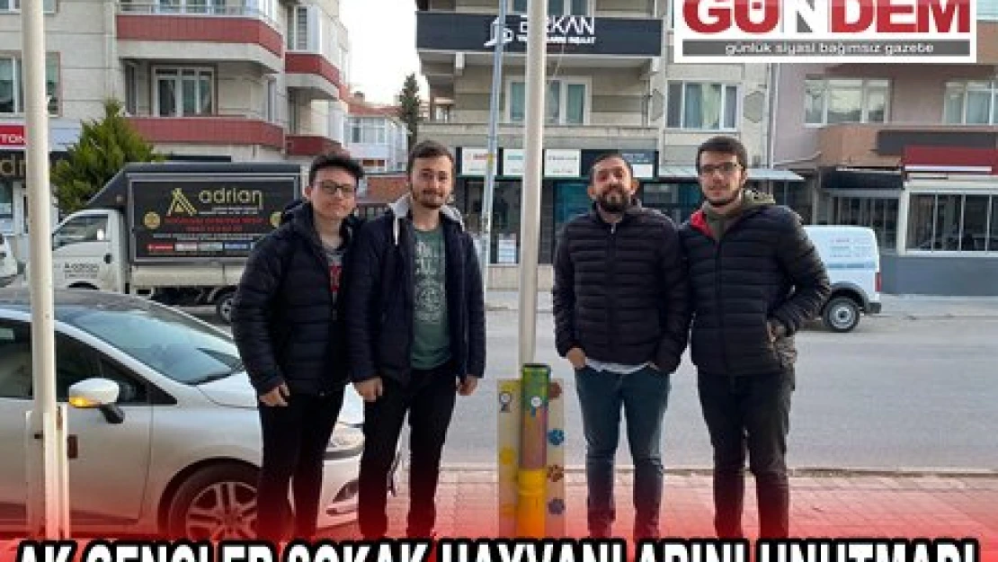 AK GENÇLER SOKAK HAYVANLARINI UNUTMADI