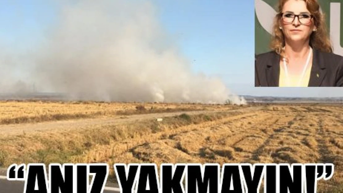 ANIZ YAKMAYIN!