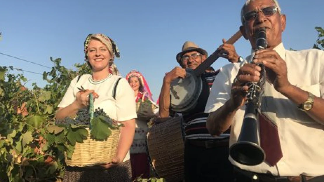 Gırnatalı bağ bozumu