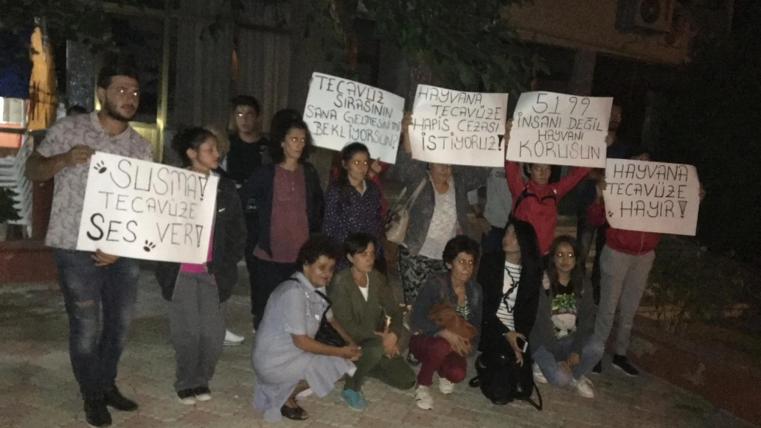 Hayvana tecavüz iddiası