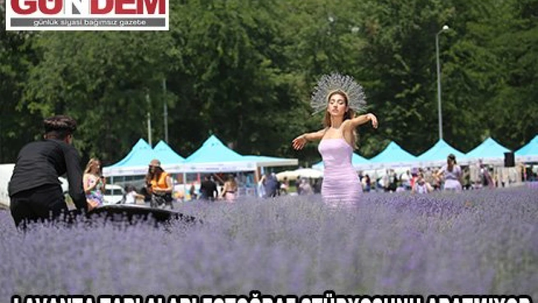 Lavanta tarlası fotoğraf stüdyosunu aratmadı