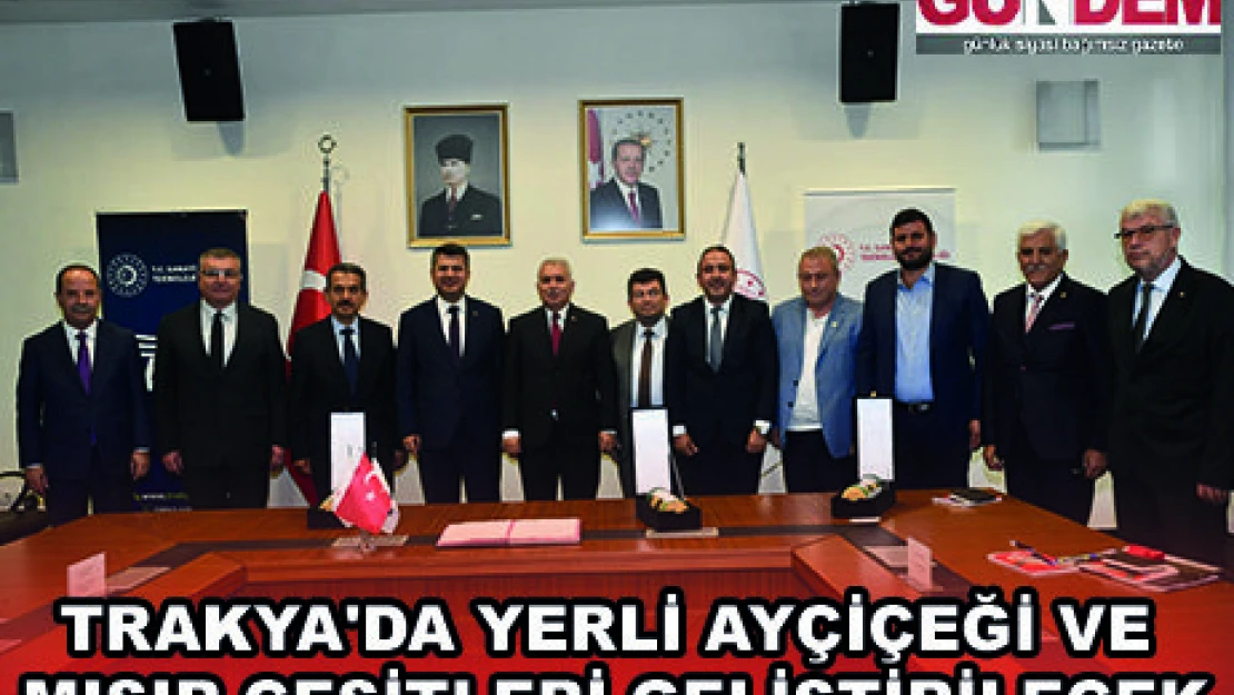 TRAKYA'DA YERLİ AYÇİÇEĞİ VE MISIR ÇEŞİTLERİ GELİŞTİRİLECEK
