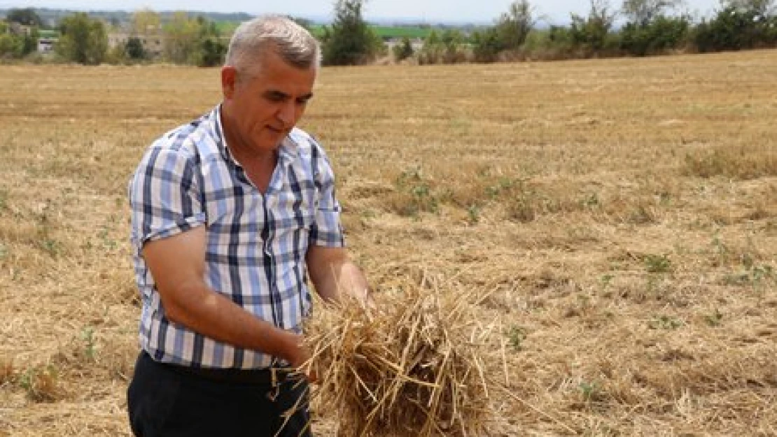 Anızları sürmek yangınlarını azaltır