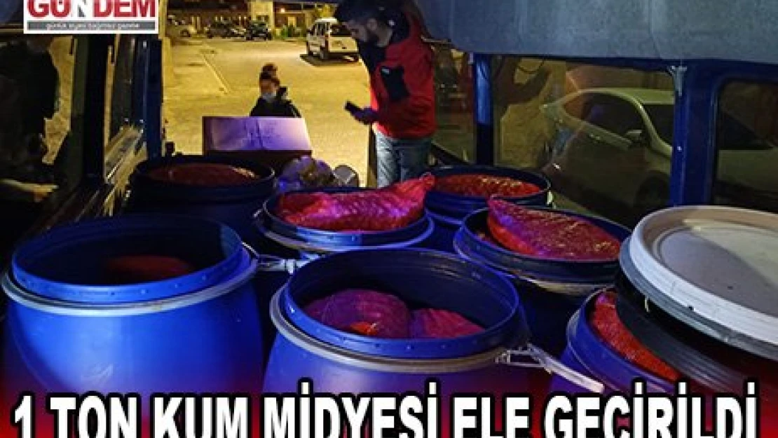 1 ton kum midyesi ele geçirildi