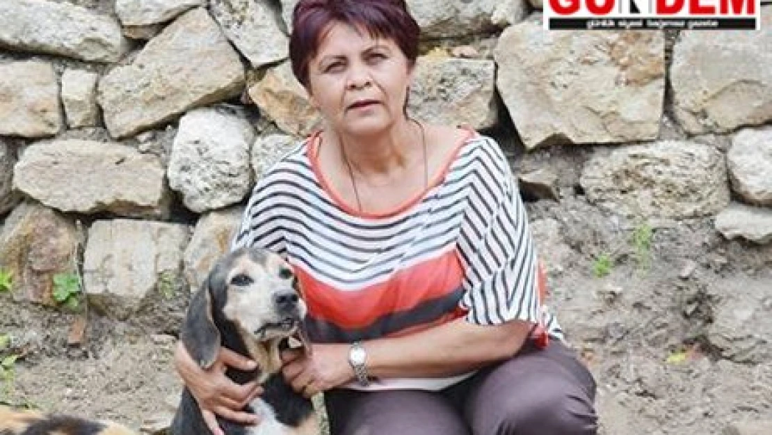 'Çözüm ağır yaptırımlardır'