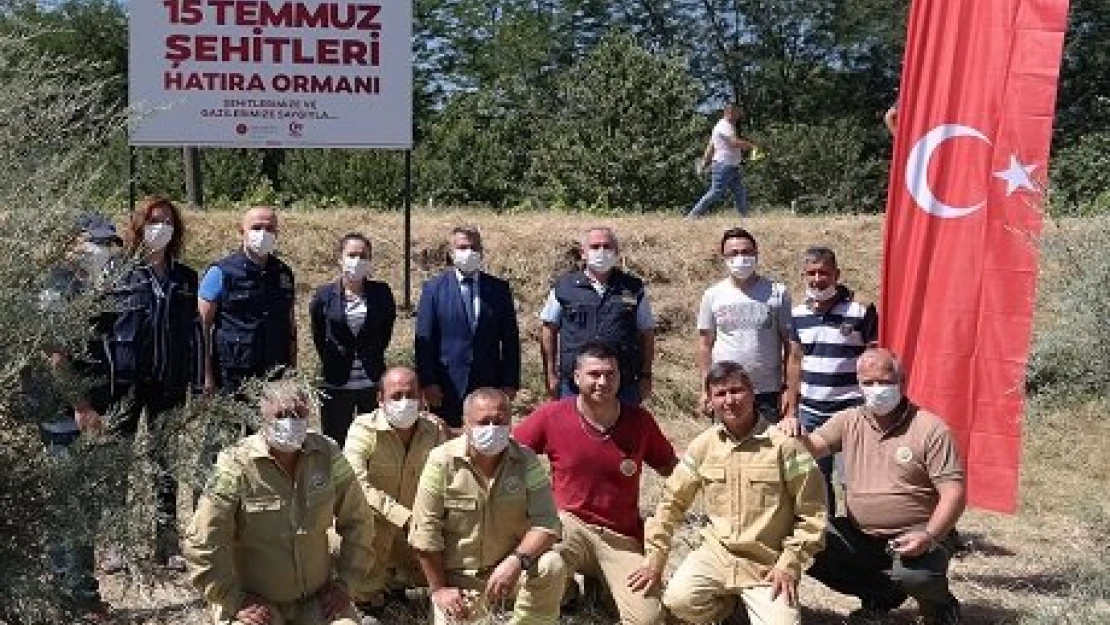 15 Temmuz Ormanı'na bakım