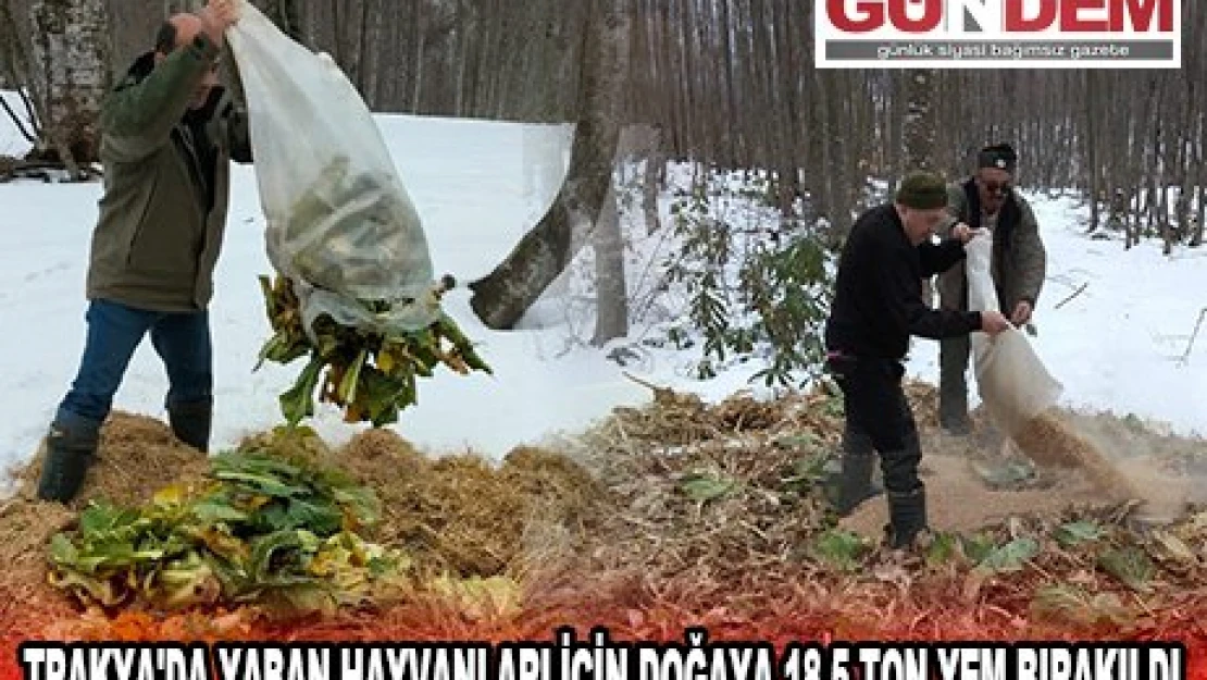 TRAKYA'DA YABAN HAYVANLARI İÇİN DOĞAYA 18,5 TON YEM BIRAKILDI